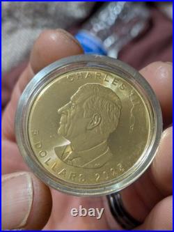 Rare 24Kt Gilded Silver Totem Pole On9999 Fine Silver Canadian Maple Leaf Dollar