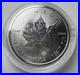 Royal Canadian Mint 1oz Silver Maple Bullion Coin 2019 9999 Fine Silver