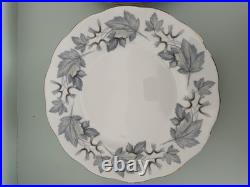 Set of 12 Royal Albert Silver Maple Bone China Dinner Plates Leaf Pattern Set of 12 Royal Albert Silver Maple Bone China Dinner Plates Leaf Pattern