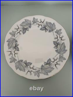 Set of 12 Royal Albert Silver Maple Bone China Dinner Plates Leaf Pattern Set of 12 Royal Albert Silver Maple Bone China Dinner Plates Leaf Pattern