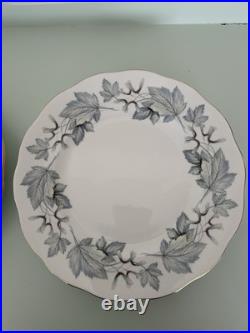 Set of 12 Royal Albert Silver Maple Bone China Dinner Plates Leaf Pattern