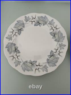 Set of 12 Royal Albert Silver Maple Bone China Dinner Plates Leaf Pattern Set of 12 Royal Albert Silver Maple Bone China Dinner Plates Leaf Pattern