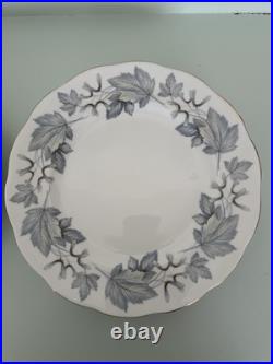 Set of 12 Royal Albert Silver Maple Bone China Dinner Plates Leaf Pattern Set of 12 Royal Albert Silver Maple Bone China Dinner Plates Leaf Pattern
