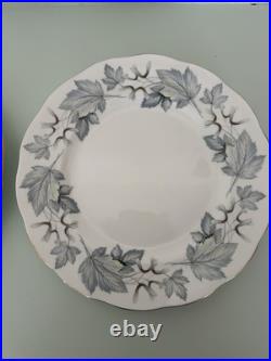 Set of 12 Royal Albert Silver Maple Bone China Dinner Plates Leaf Pattern Set of 12 Royal Albert Silver Maple Bone China Dinner Plates Leaf Pattern