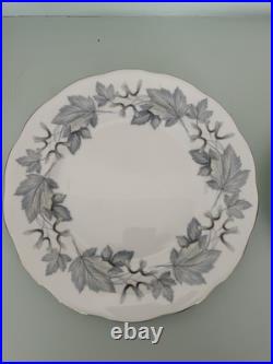 Set of 12 Royal Albert Silver Maple Bone China Dinner Plates Leaf Pattern