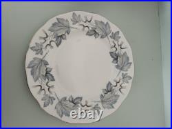 Set of 12 Royal Albert Silver Maple Bone China Dinner Plates Leaf Pattern Set of 12 Royal Albert Silver Maple Bone China Dinner Plates Leaf Pattern