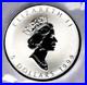 Silver Maple Leaf Coin 1999 Rabbit Privy Mark Canada 1 Oz $5 Rcm Sml Cn Specimen