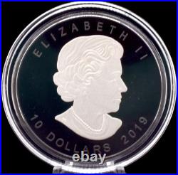 Silver Matte Proof Canada 2oz $10 Maple Leaf Ltd Ed Rhodium BOX + COA