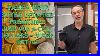 Tampa Gold Buyer Updates Premiums U0026 Inventory 11 17 25 Junk 90 U0026 Cull Silver Dollars Super Hot
