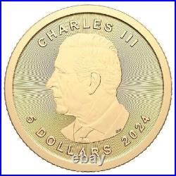 Treasured Silver Maple Leaf First Strikes Polar Bear Privy Mark 2024 Gold Coin