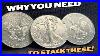 Why You Should Be Stacking American Silver Eagles